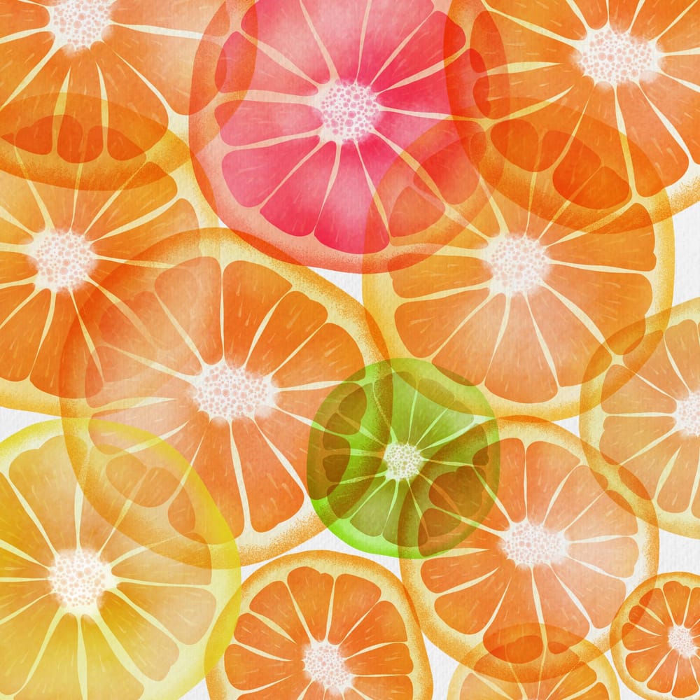 Tropical Fruit Ensemble - image 1 - student project