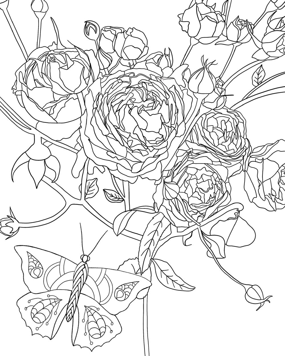 Botanical Coloring Book - image 2 - student project