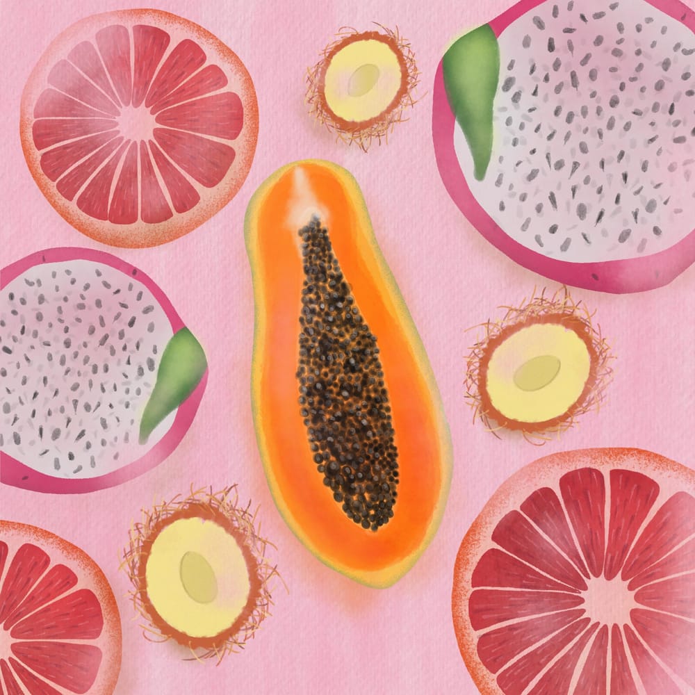 Tropical Fruit Ensemble - image 2 - student project