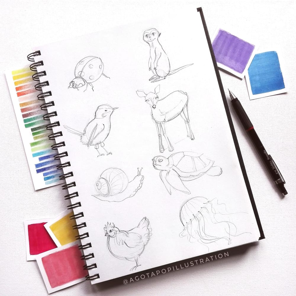 Cute animals - image 1 - student project