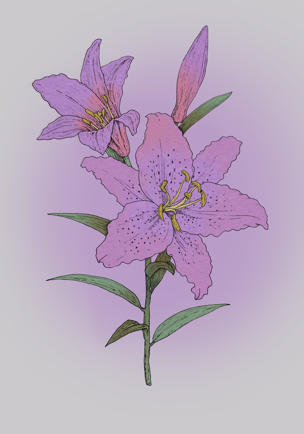 Flower - image 1 - student project