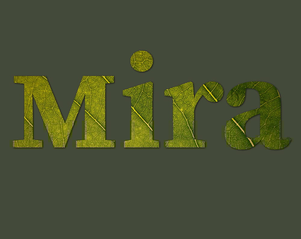 My Class Projects - image 3 - student project