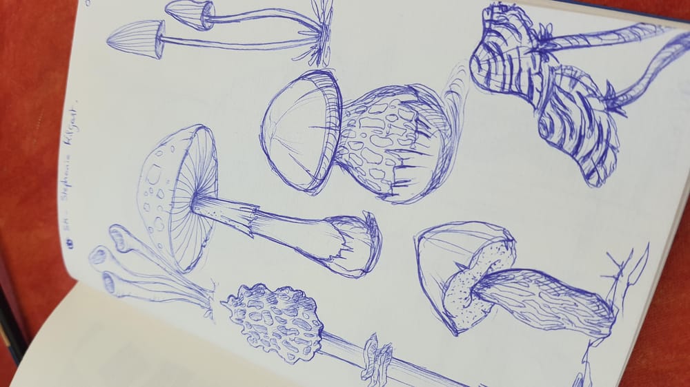 My little mushroom world - image 3 - student project
