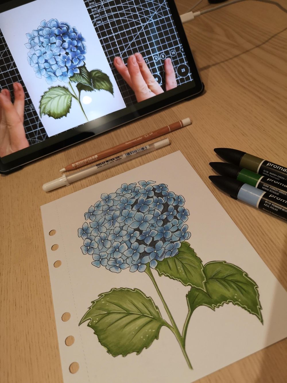 Hydrangea flower with alcoholmarkers - image 1 - student project
