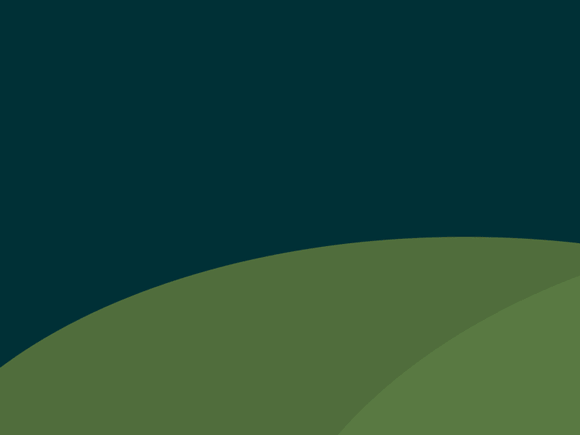 The Shire - image 2 - student project