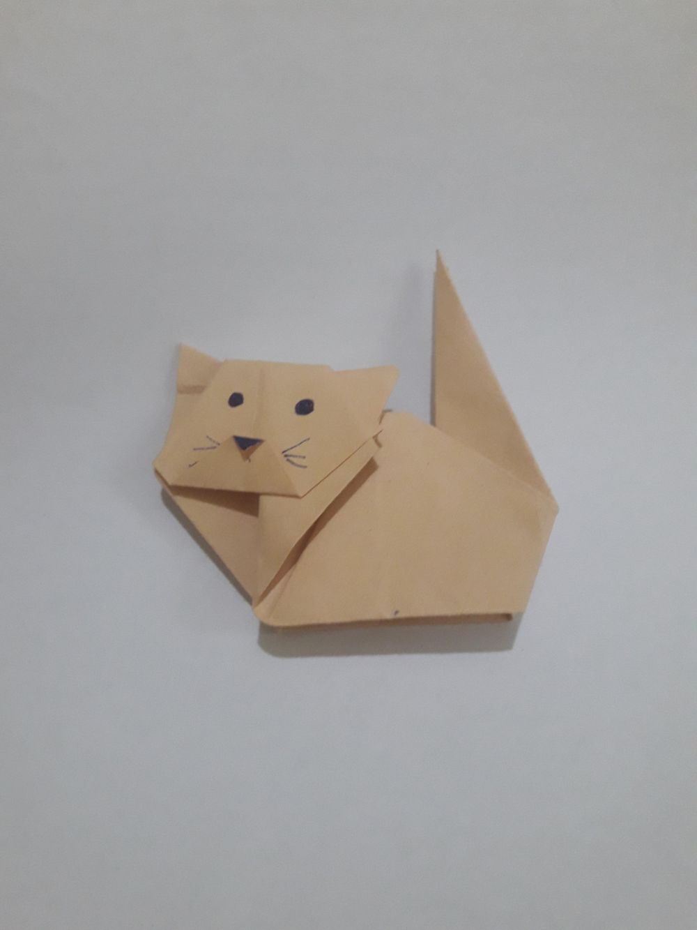 Meow - image 1 - student project