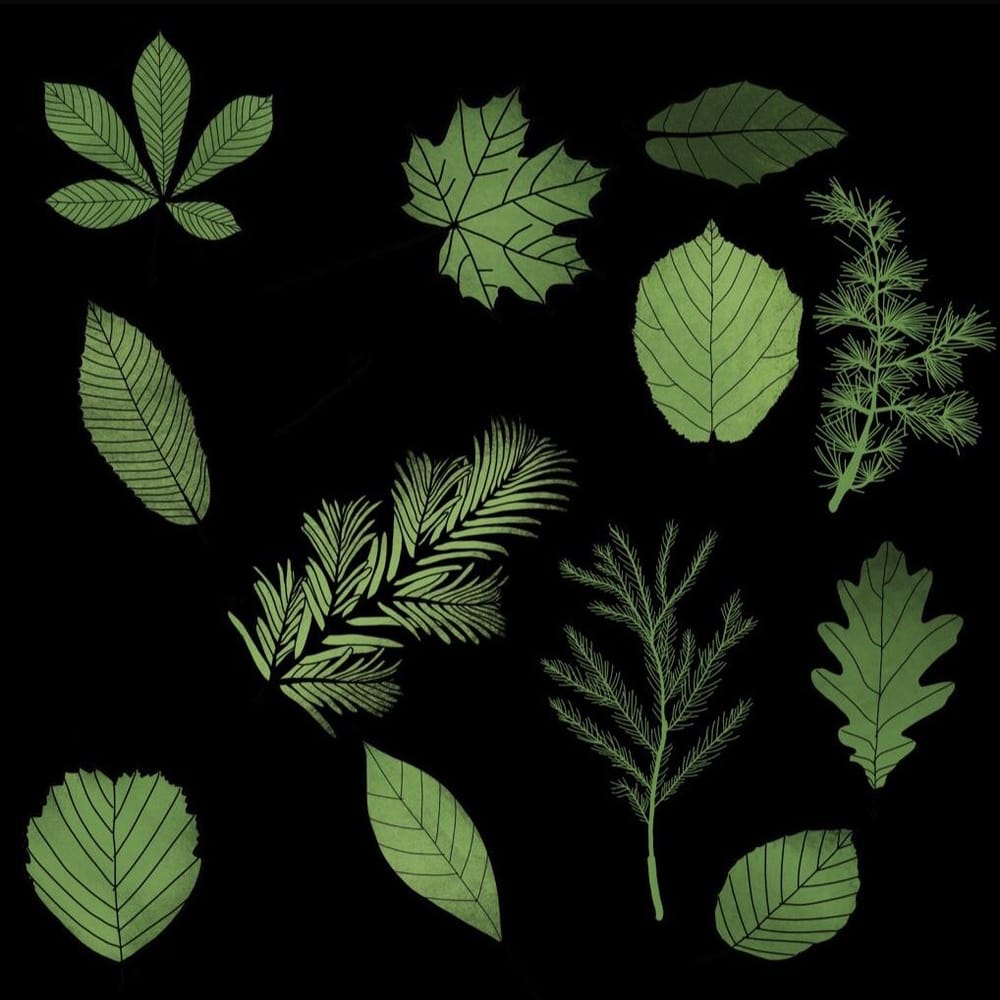 Leaf pattern - image 3 - student project