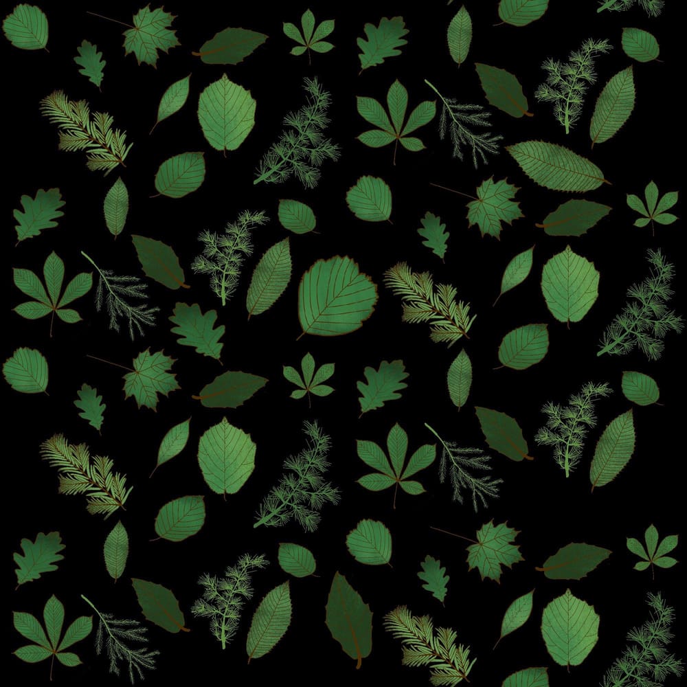 Leaf pattern - image 4 - student project