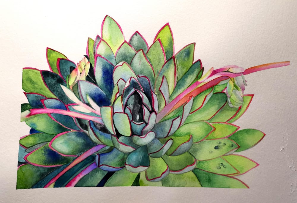 My First Realistic Succulent - image 1 - student project