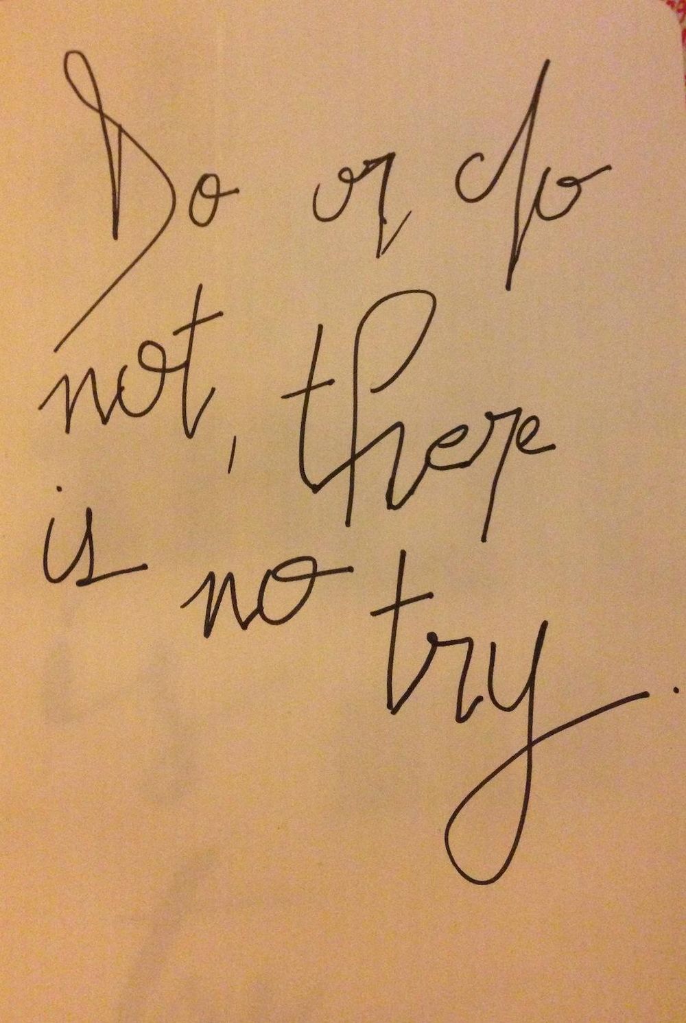 Do or do not, there is no try. - image 14 - student project