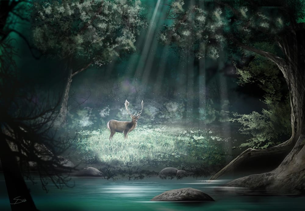 Hidden Path/Caught in the Light - image 1 - student project