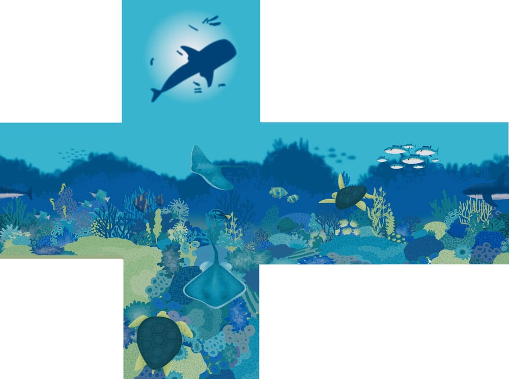 My 360 Degree Seascape - image 2 - student project