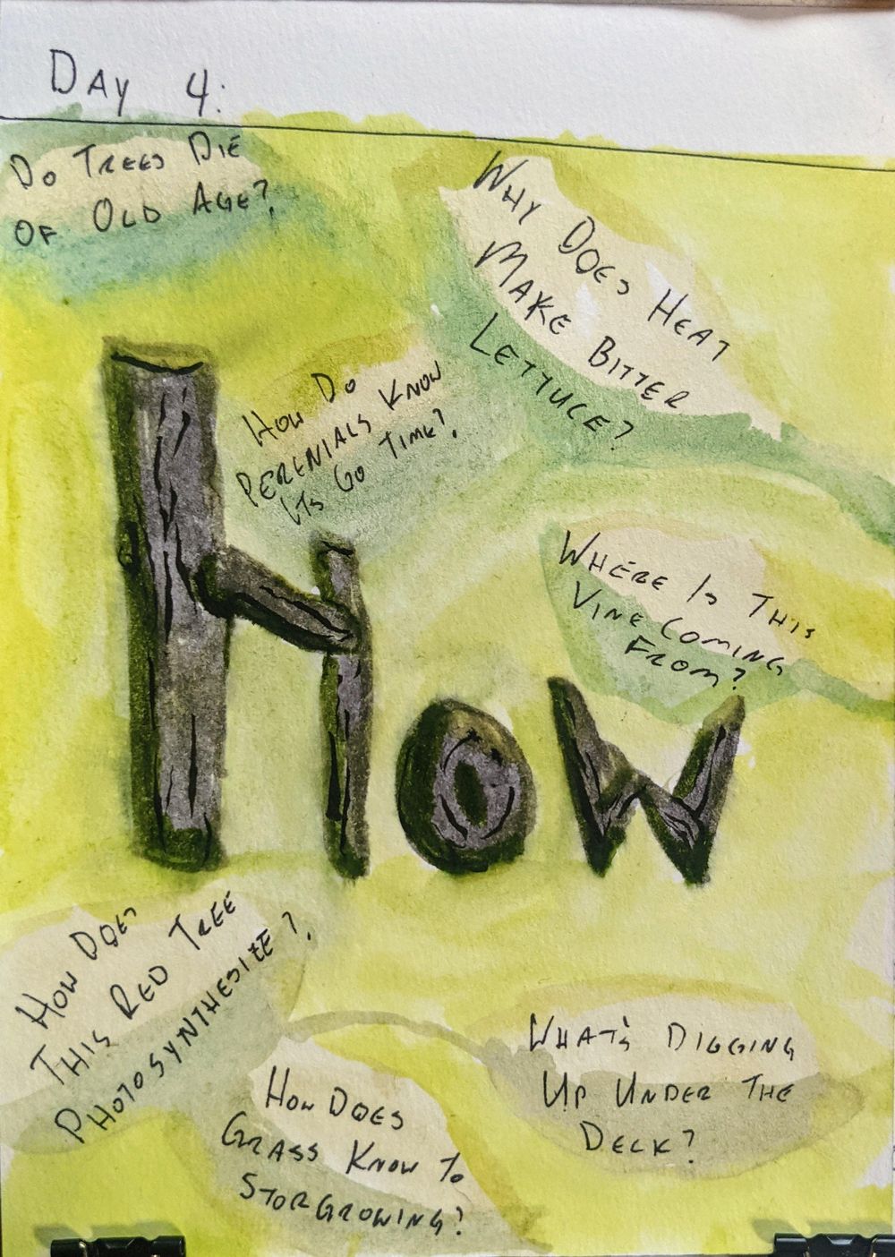 Urban Nature Journaling: 7 Days of Artistic Prompts - image 7 - student project