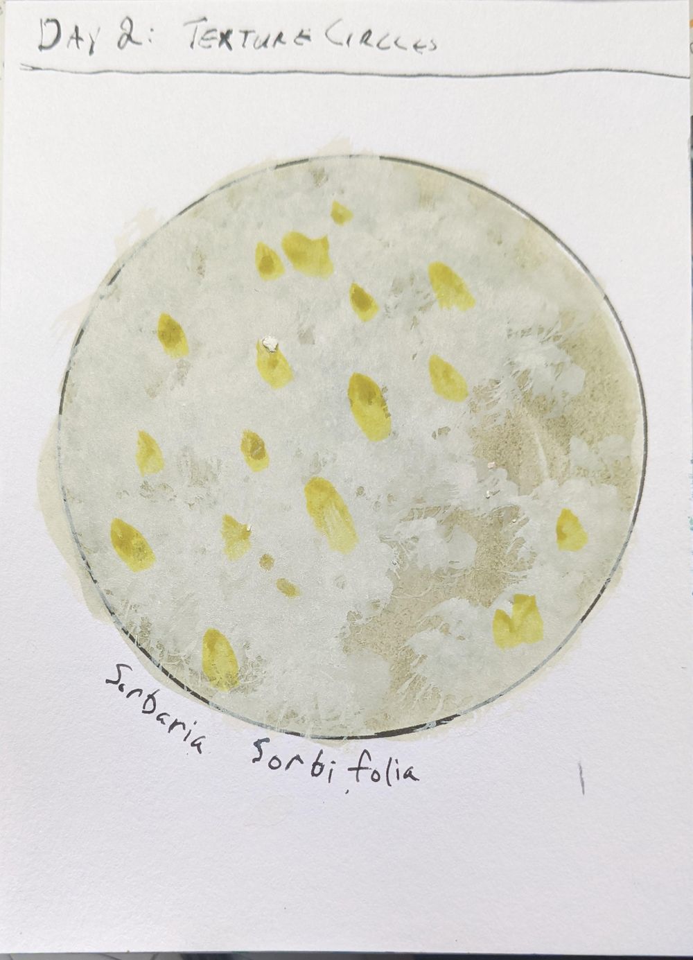 Urban Nature Journaling: 7 Days of Artistic Prompts - image 3 - student project