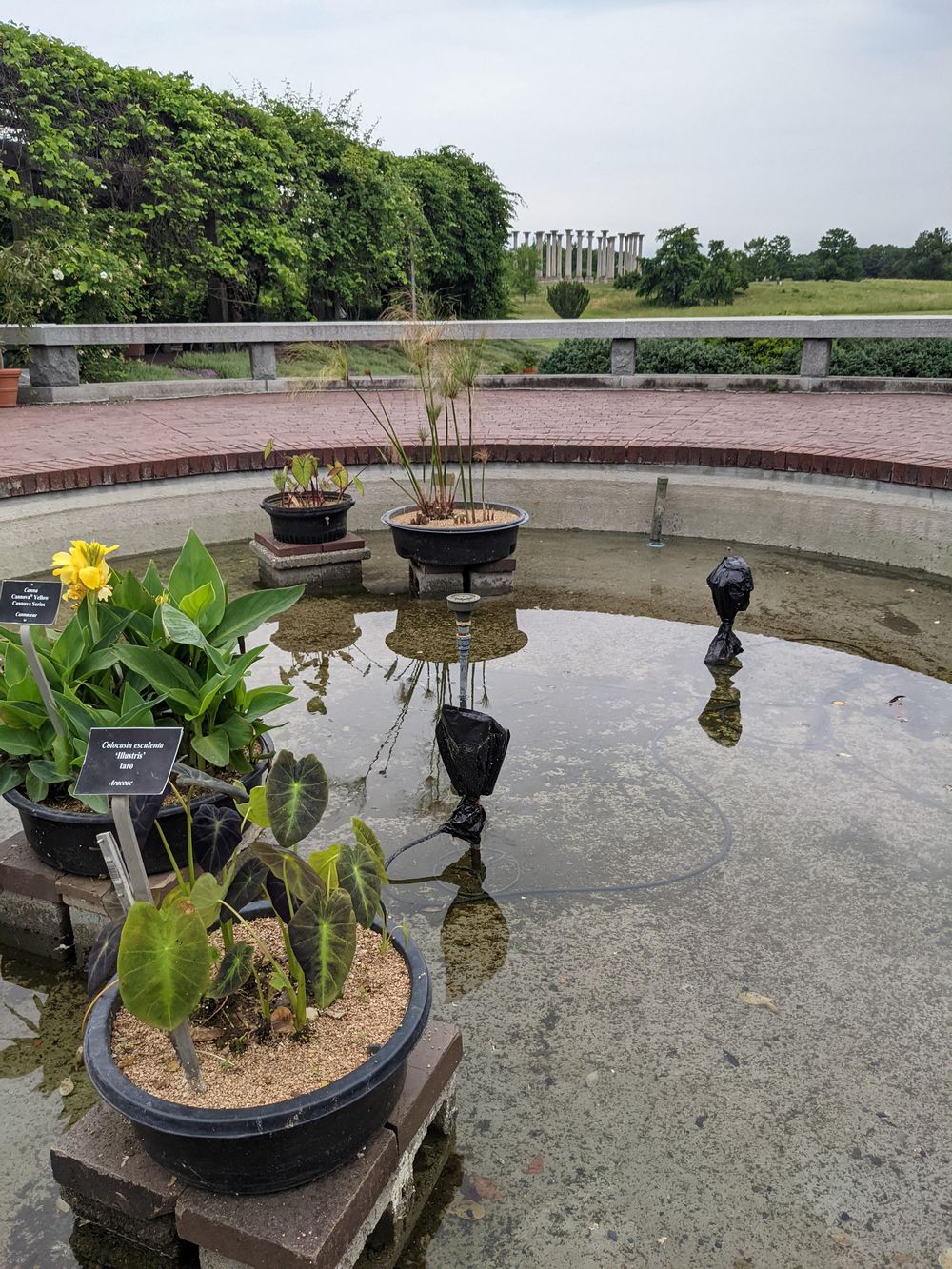 Urban Nature Journaling: 7 Days of Artistic Prompts - image 2 - student project