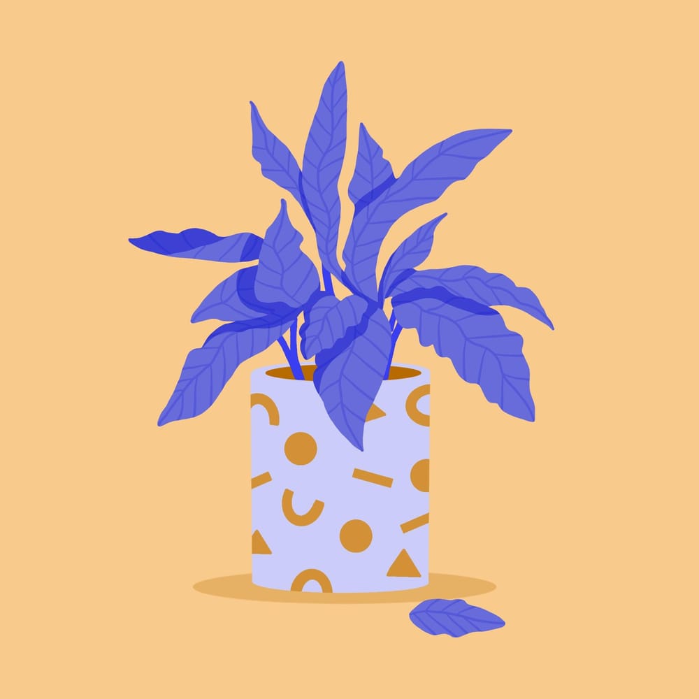 Color exercises - image 9 - student project