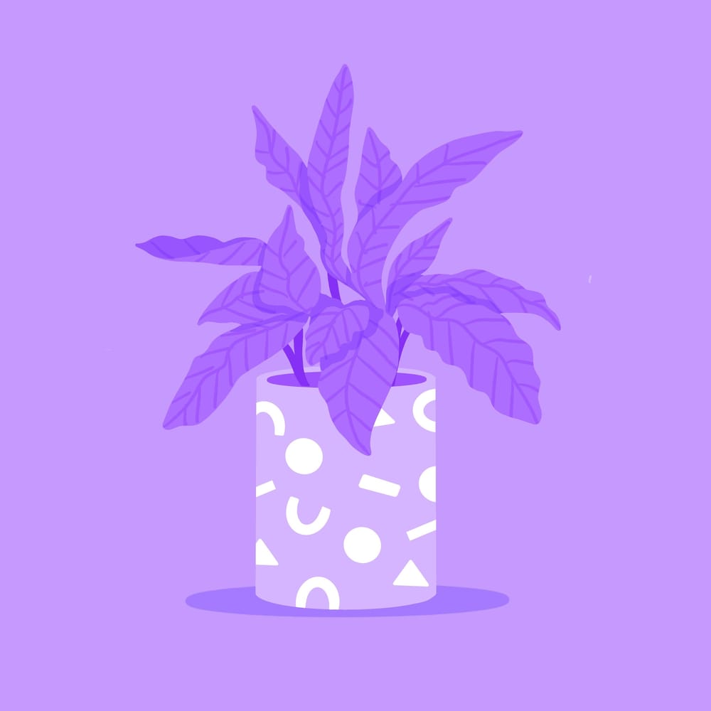 Color exercises - image 2 - student project