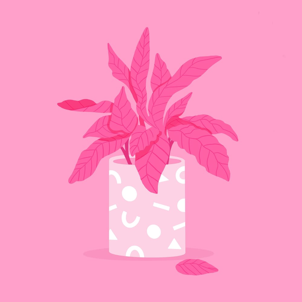 Color exercises - image 1 - student project