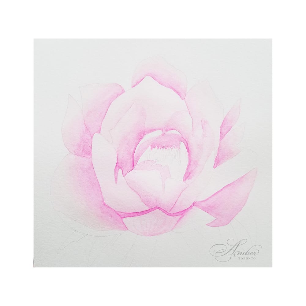 Pink Peony - image 4 - student project