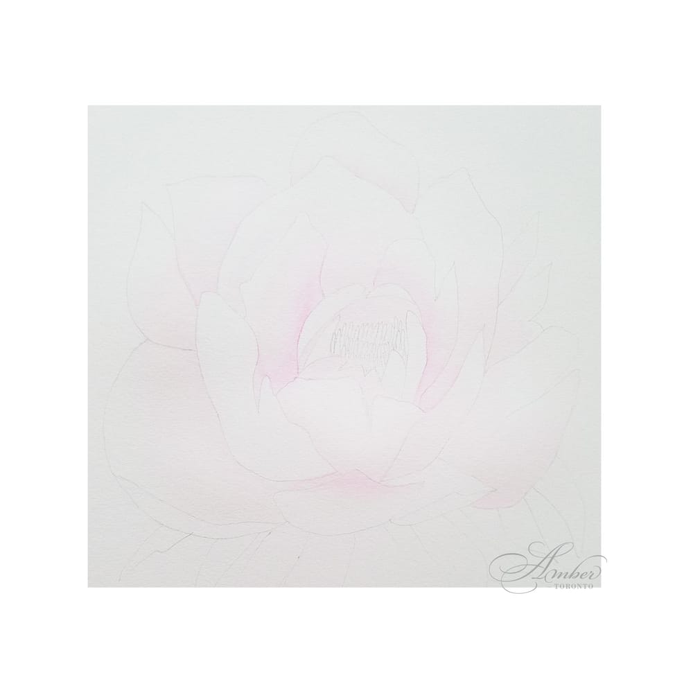 Pink Peony - image 5 - student project