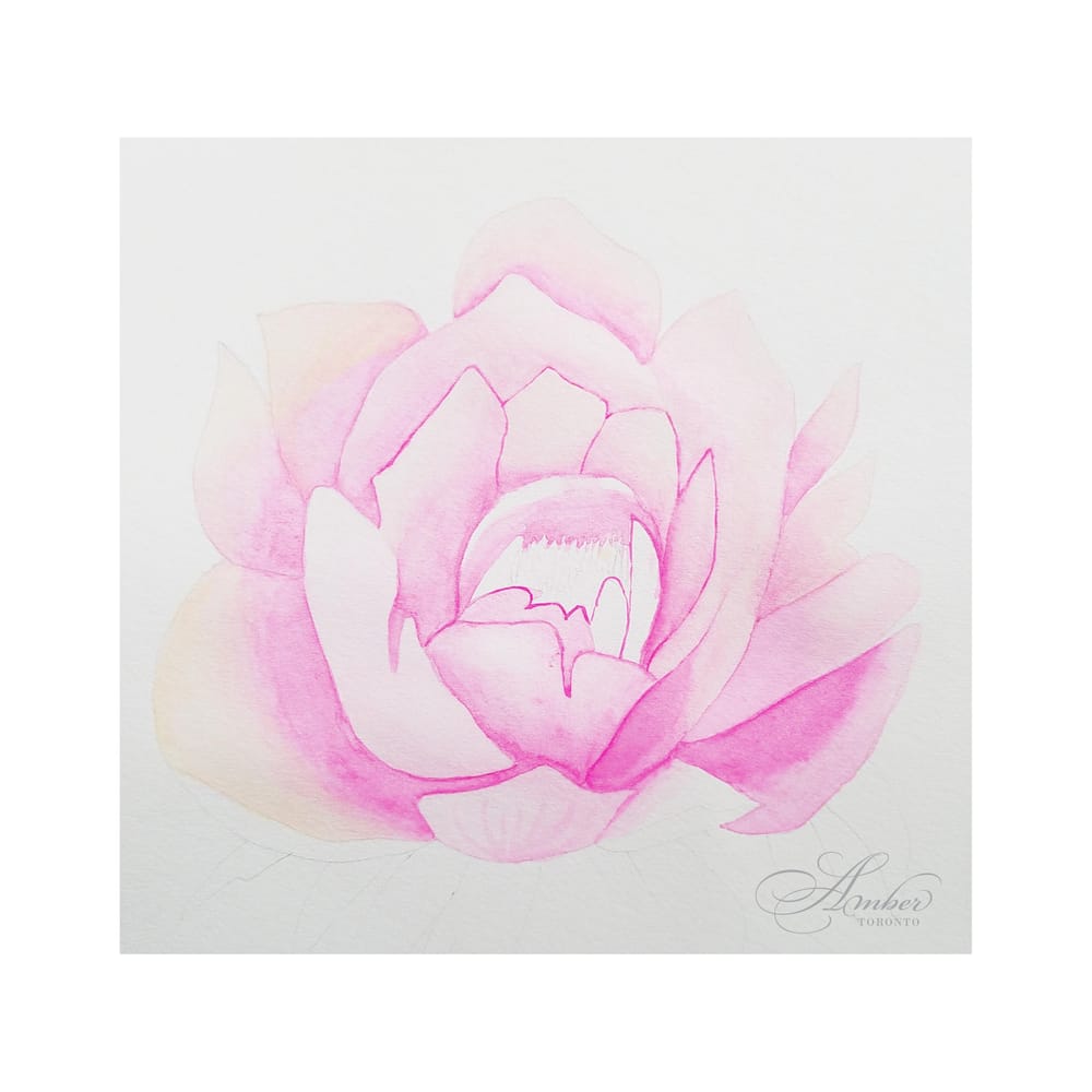 Pink Peony - image 2 - student project
