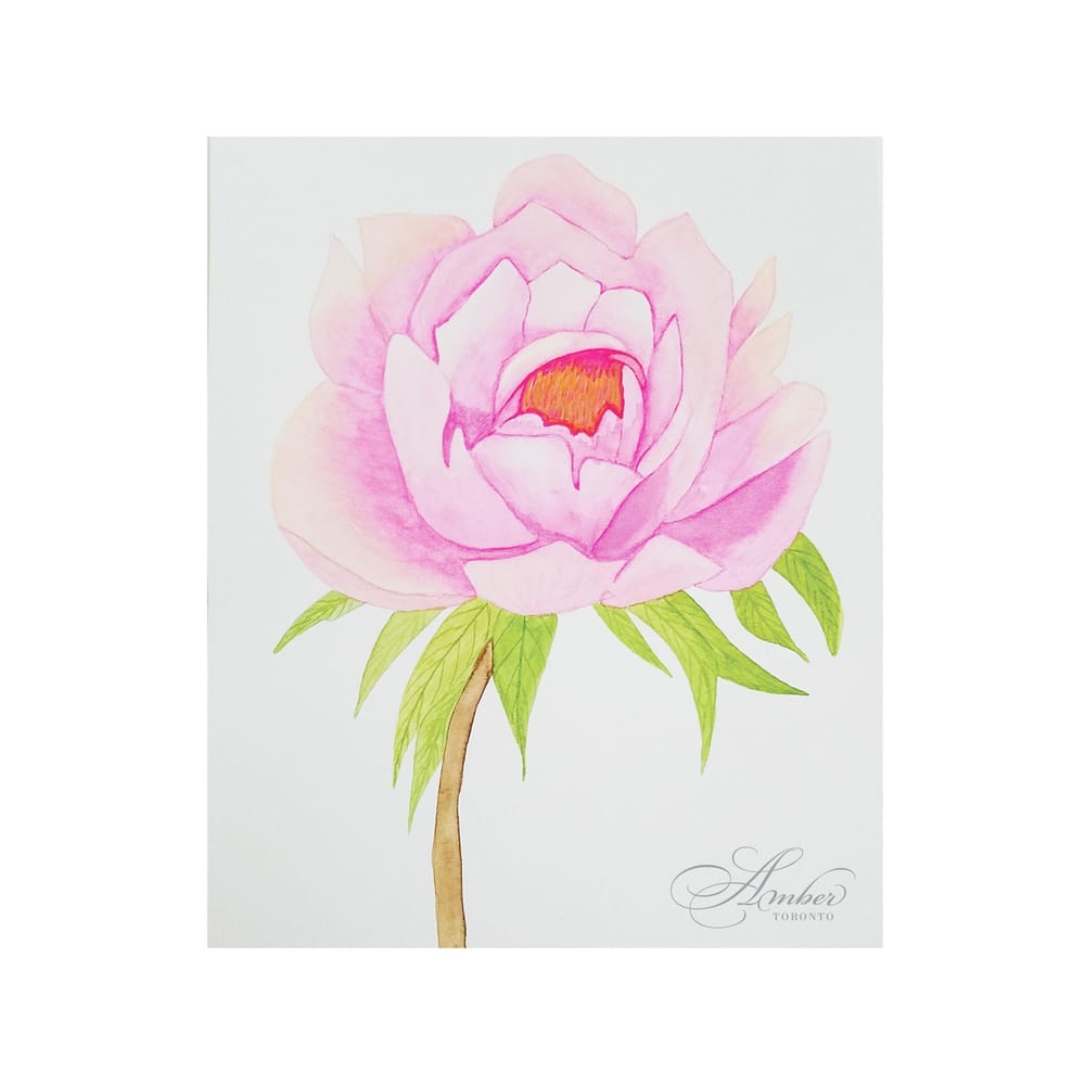 Pink Peony - image 3 - student project