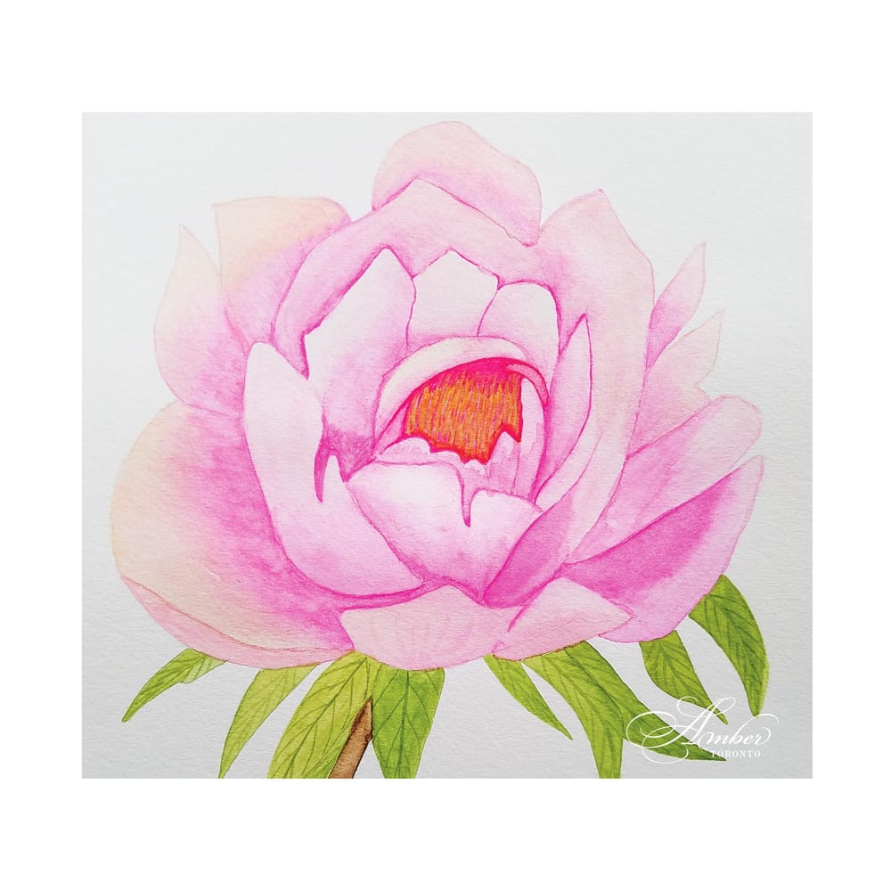 Pink Peony - image 6 - student project