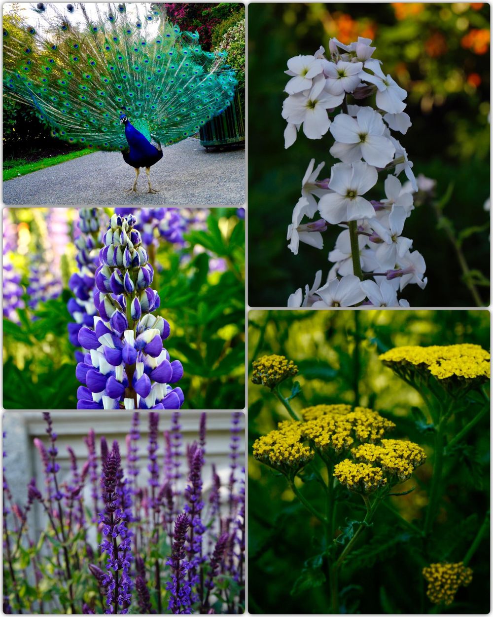 Beauty around us - image 1 - student project