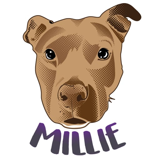 Millie Halftone - image 3 - student project