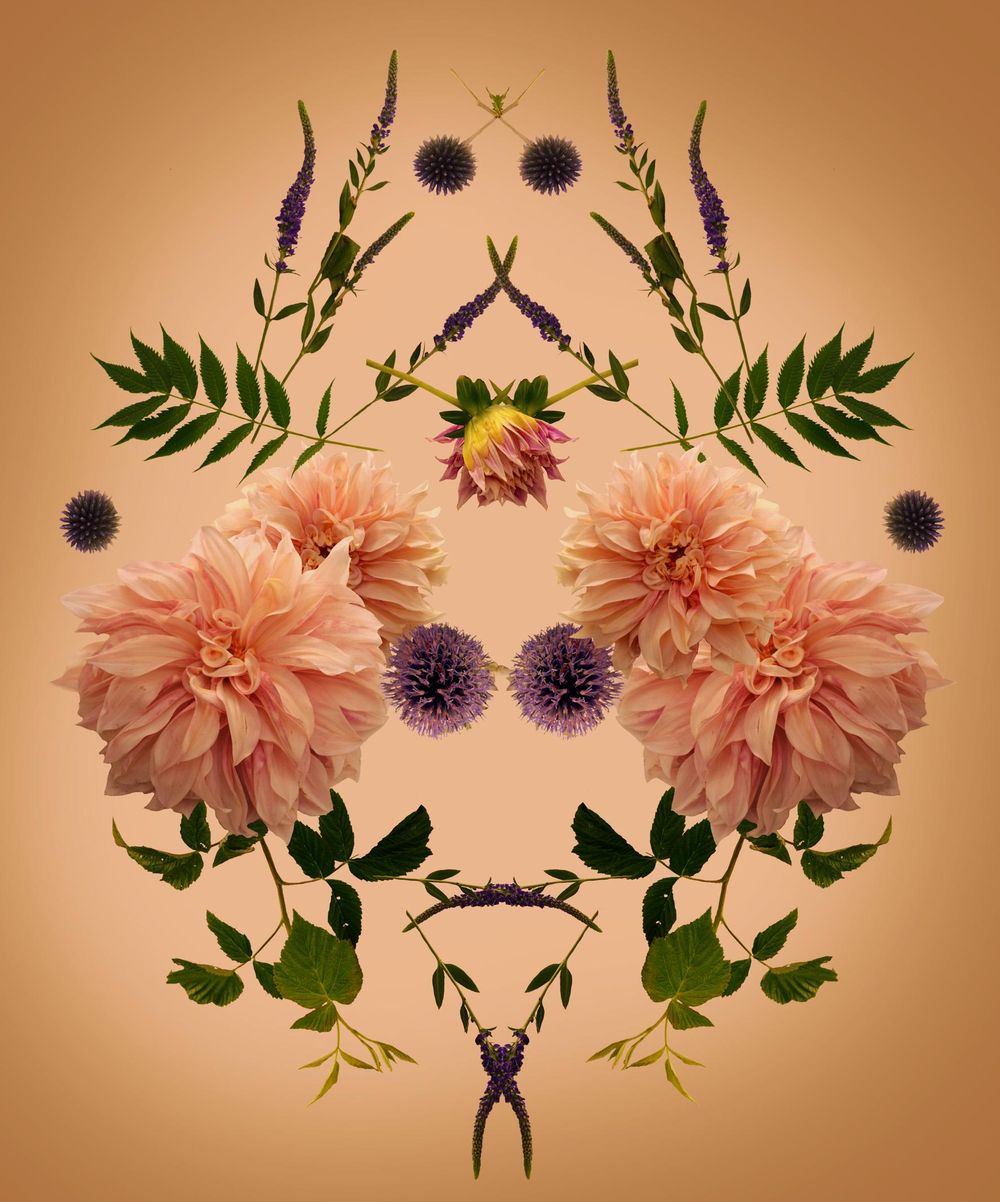Flower Collage - image 1 - student project