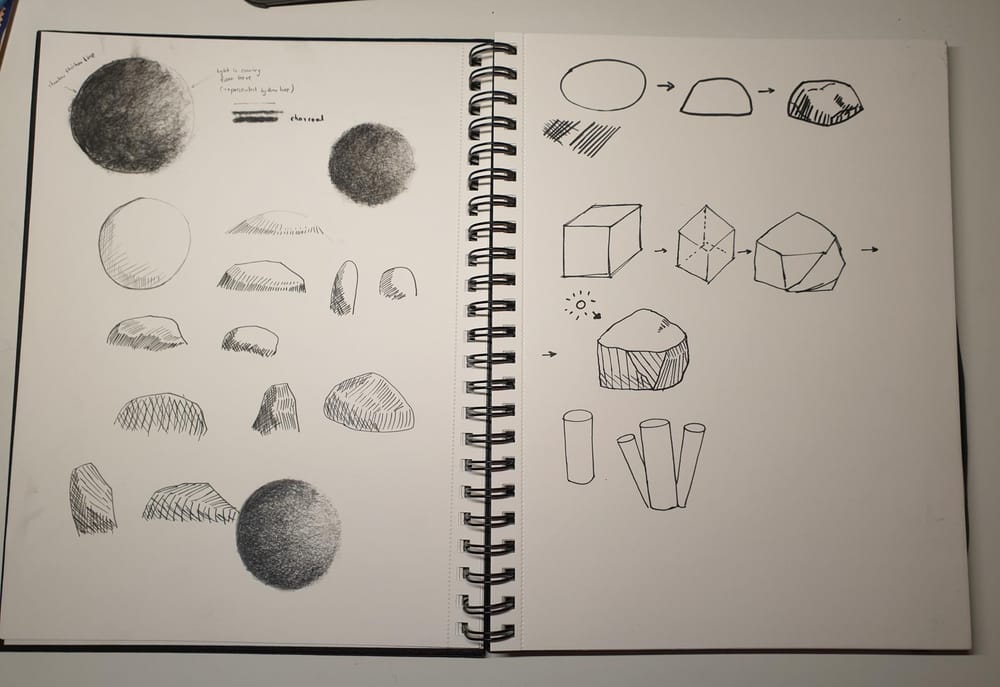 Sketching Nature with Sarah Burns - image 1 - student project