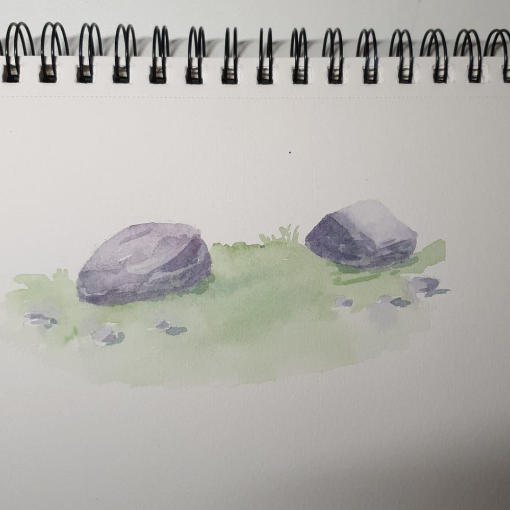 Sketching Nature with Sarah Burns - image 11 - student project