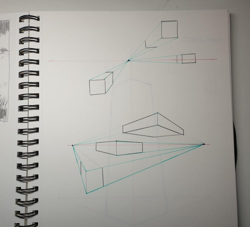 Sketching Nature with Sarah Burns - image 8 - student project