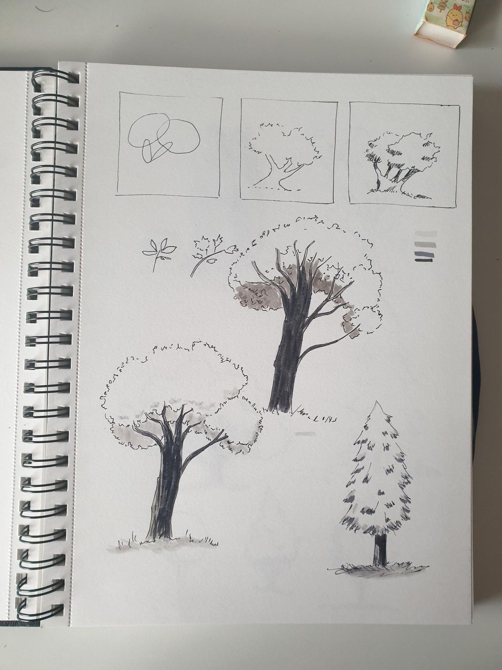 Sketching Nature with Sarah Burns - image 4 - student project