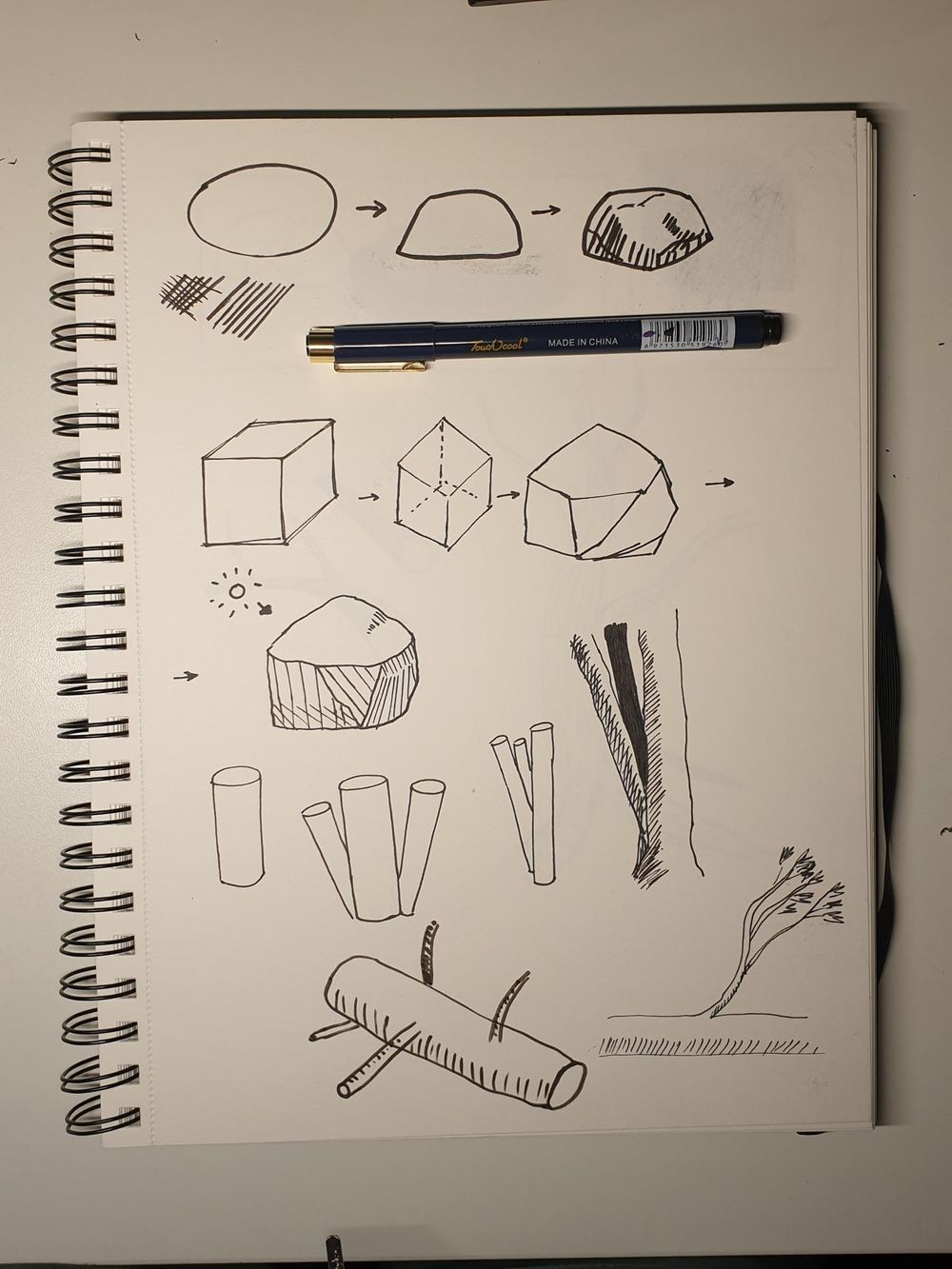 Sketching Nature with Sarah Burns - image 2 - student project