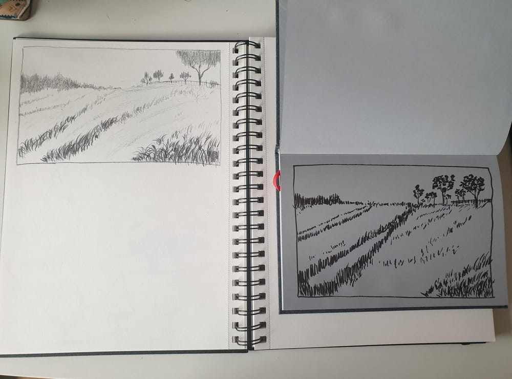 Sketching Nature with Sarah Burns - image 7 - student project