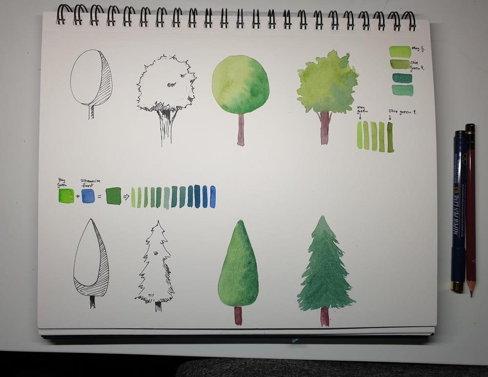 Sketching Nature with Sarah Burns - image 10 - student project