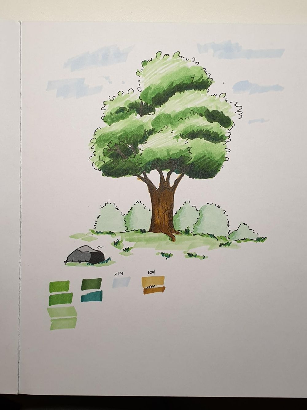 Sketching Nature with Sarah Burns - image 13 - student project