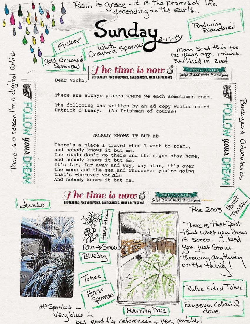 Backyard Adventures - image 1 - student project