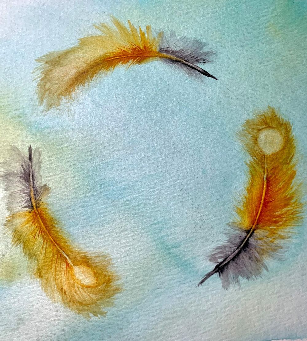 Feathers - image 1 - student project