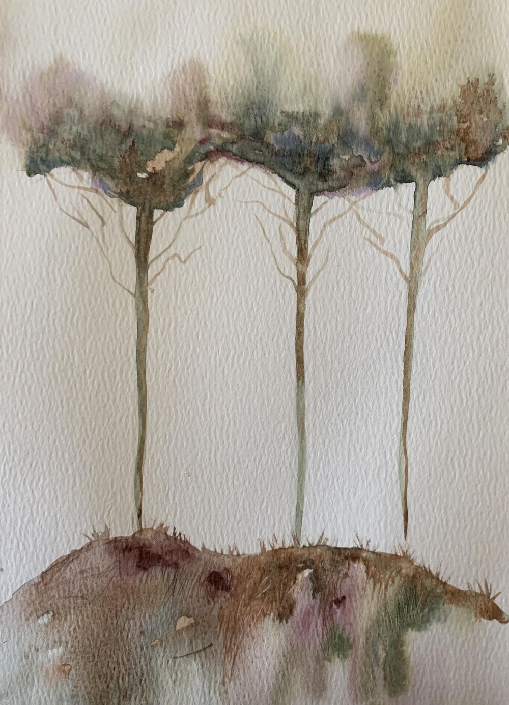 Trees - image 2 - student project