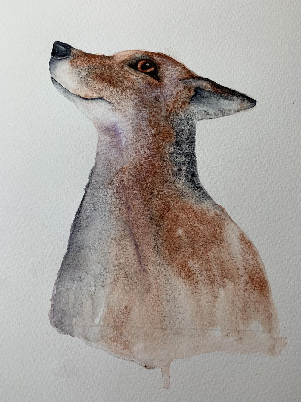 The Fabulous Mr. Fox - image 1 - student project