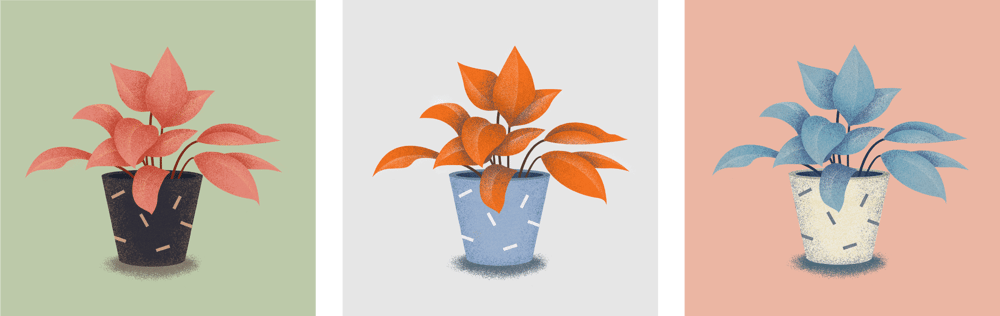 Color Study - image 5 - student project