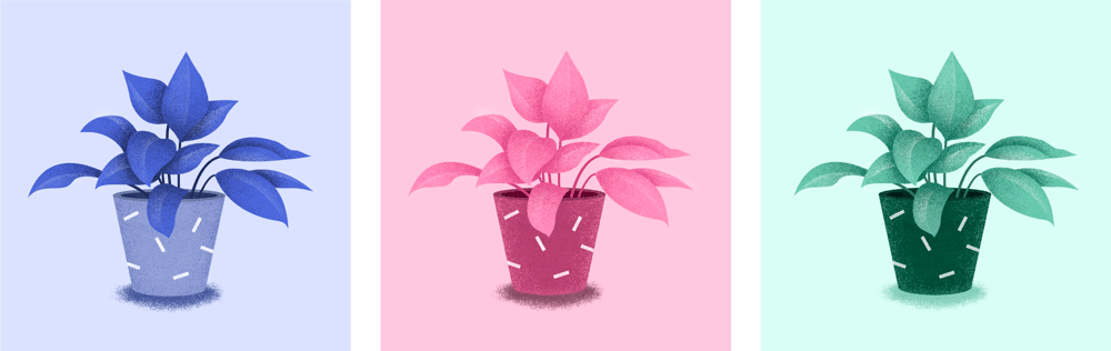 Color Study - image 2 - student project