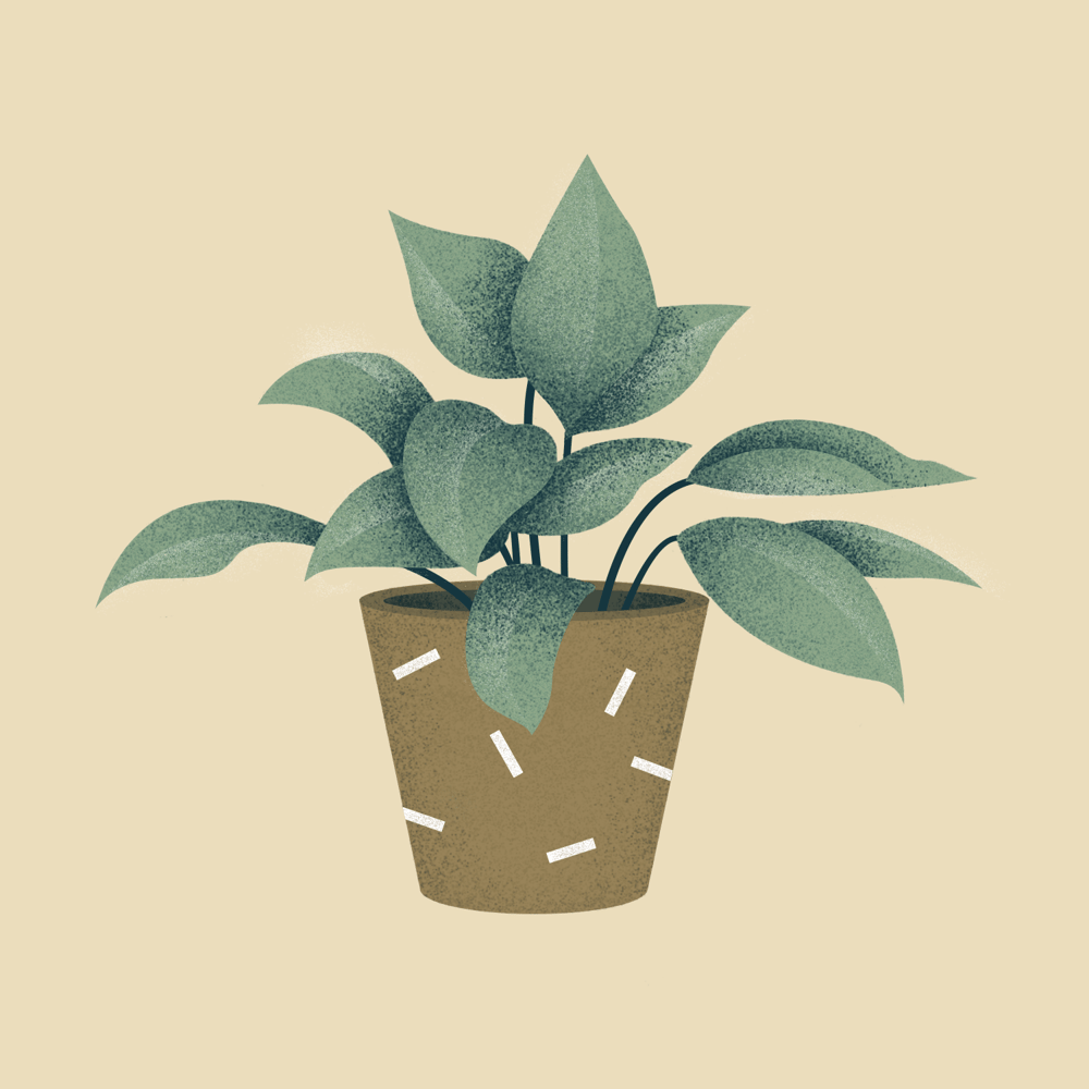 Color Study - image 1 - student project