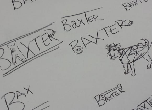 Baxter - image 1 - student project