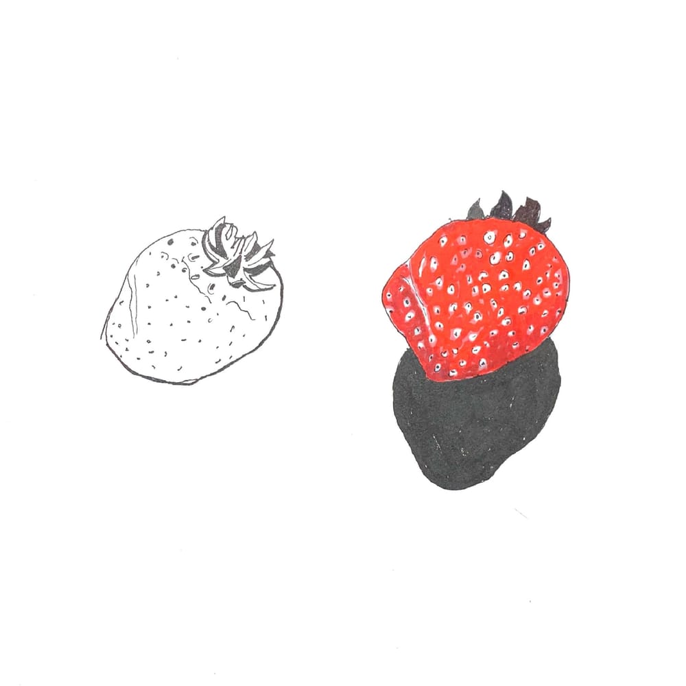 Daily Food Drawing Practice - image 7 - student project