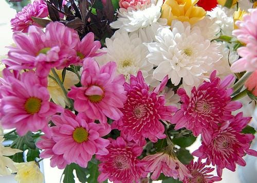 Little Inspiration Flowers - image 1 - student project