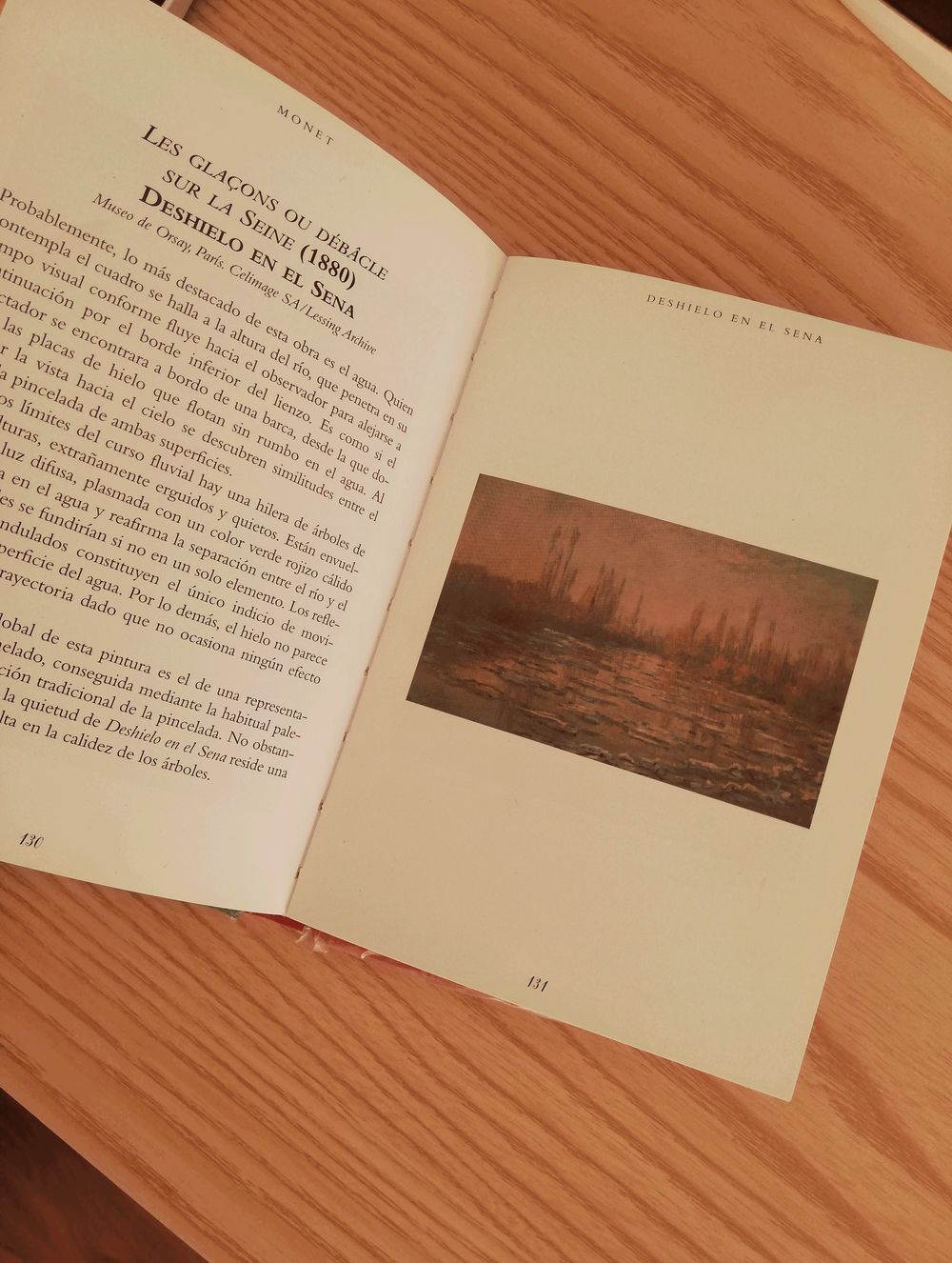 3d Inspired on Monet - image 4 - student project