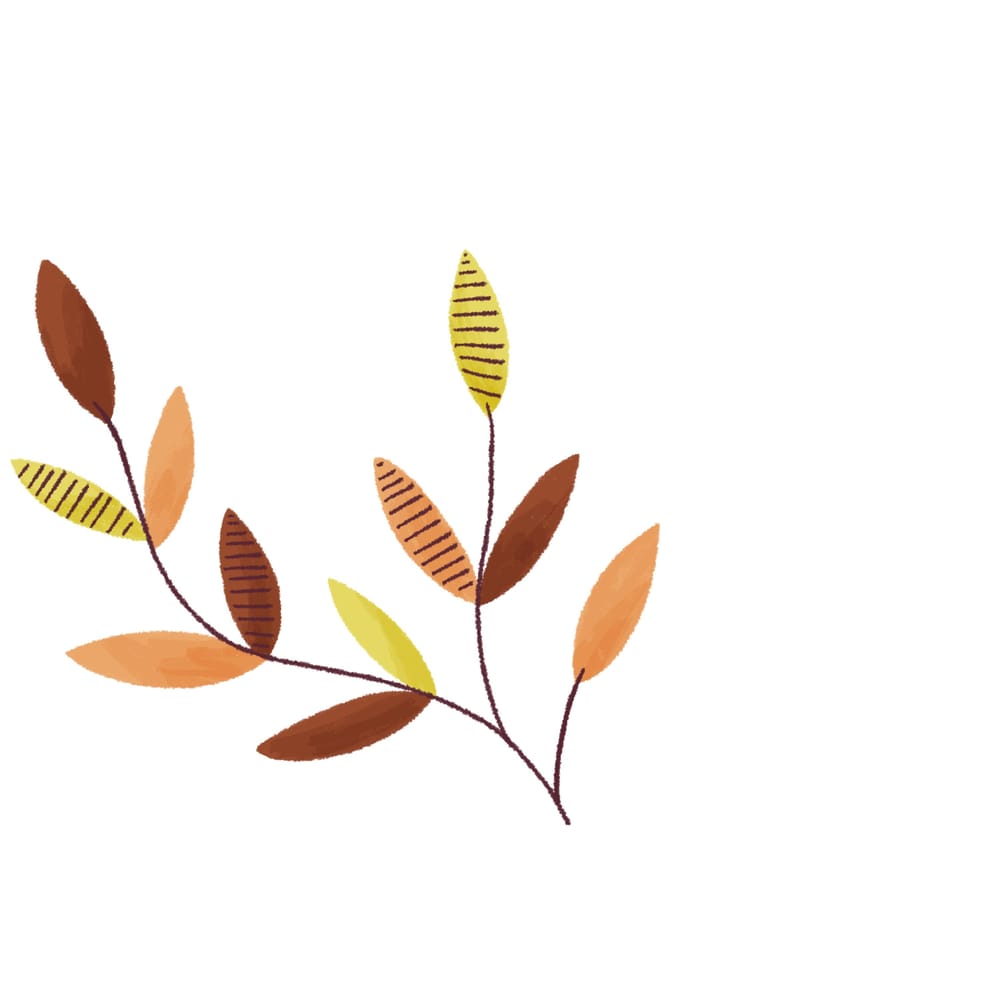 Patterns In Procreate - image 3 - student project